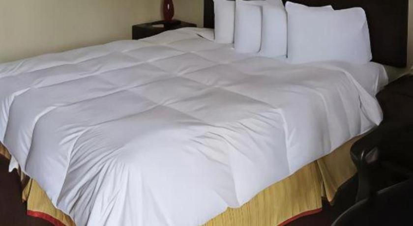 Red Roof Inn Florence, Sc 외부 사진